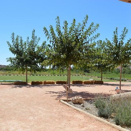 Ca La Ferratina Casa de hóspedes Ibars de Noguera Exterior foto